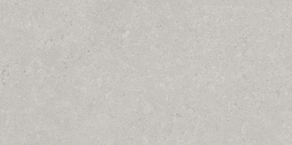 AVS-204 Velluto Grey Moon Light Stone 600x1200 AVS
