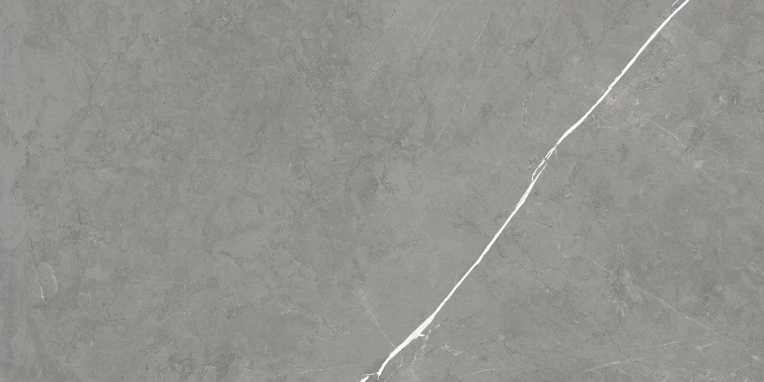 610015000657 Forte dei Marmi Elegant Grey Rett Cer 60x120 Atlas Concorde Russia
