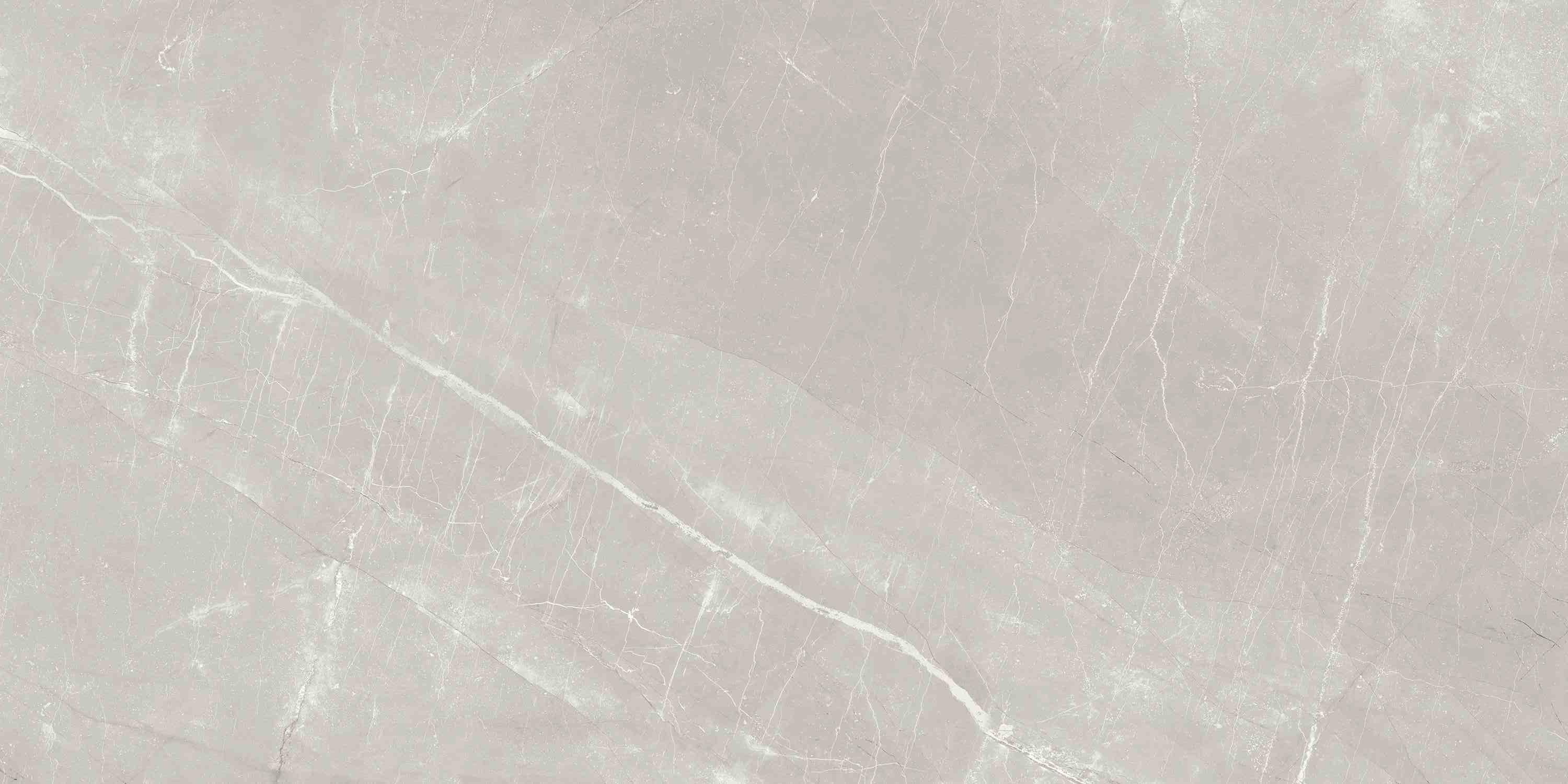 ENSTN7004MT60120 Alaska Grey Matt 60x120 Ennface фото 8