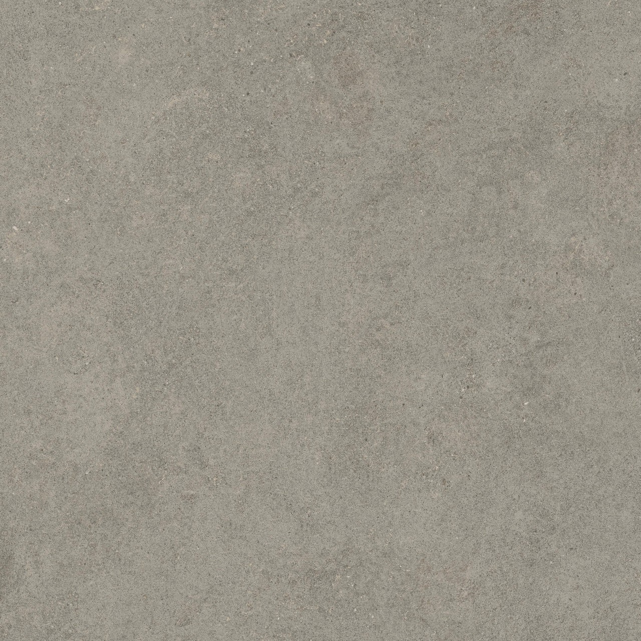600010002429 Forte dei Marmi Rock Lunar Grey Matt Rett 120x120 Atlas Concorde Russia