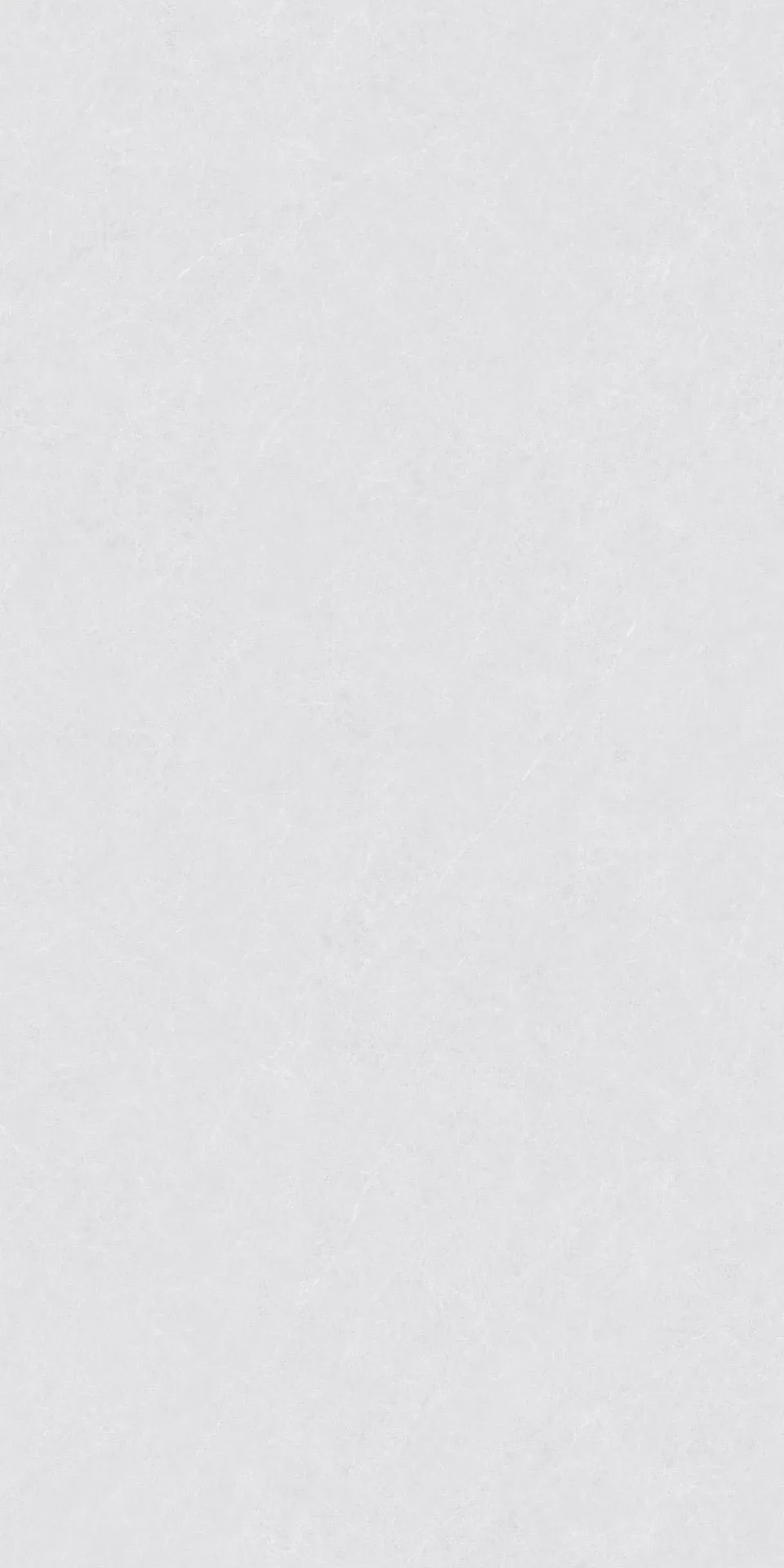 ZA-L12502 Пепел Матовый 1200x600x9 Vizavi фото 2