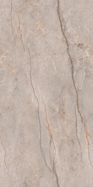 Monaco Grey carving 60x120 Leopard