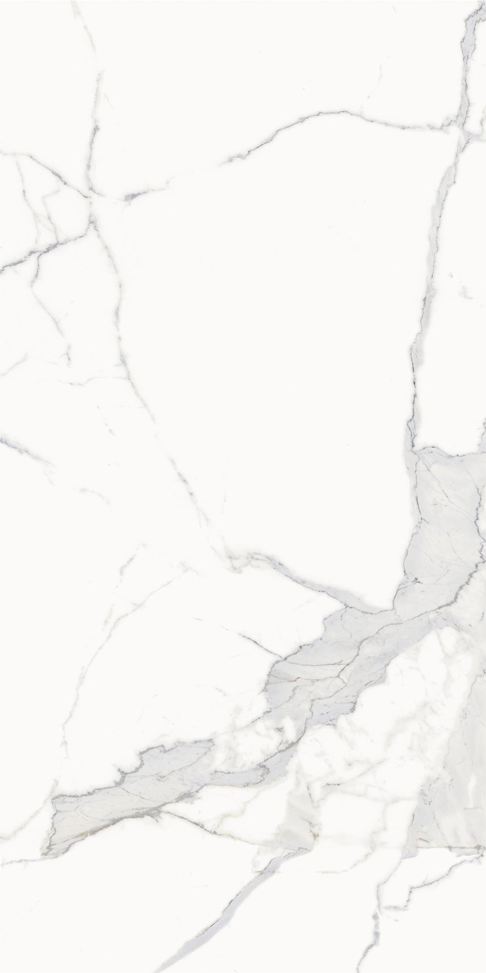 610010002831 Stellaris Statuario White Nat Ret 60x120 Italon
