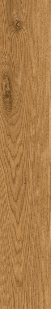 CAI8 Izumi IZ08 Miele Classico SP SQ 20x120 Mirage