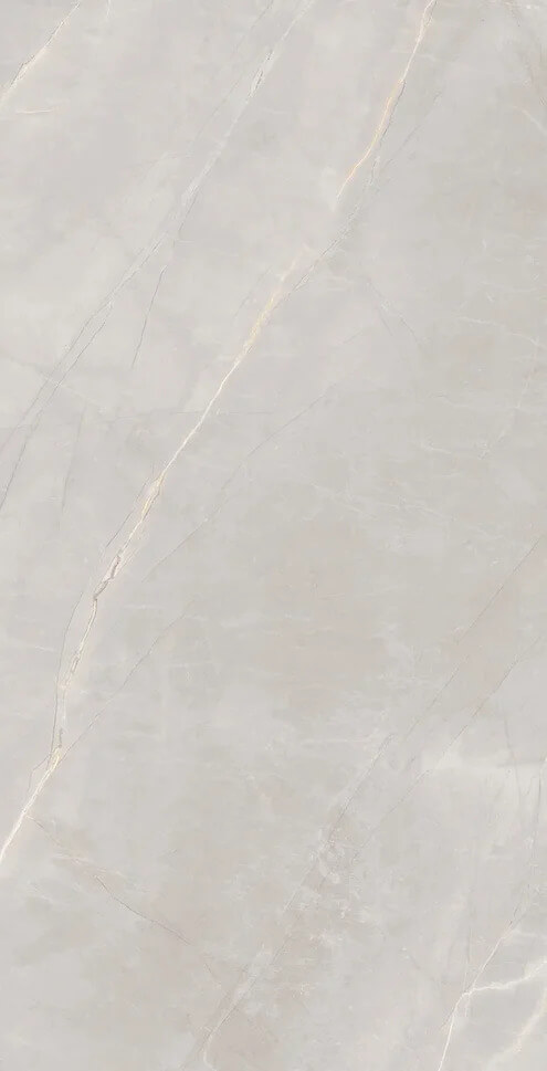 Marble Royalish Grey 120x60 Artcer