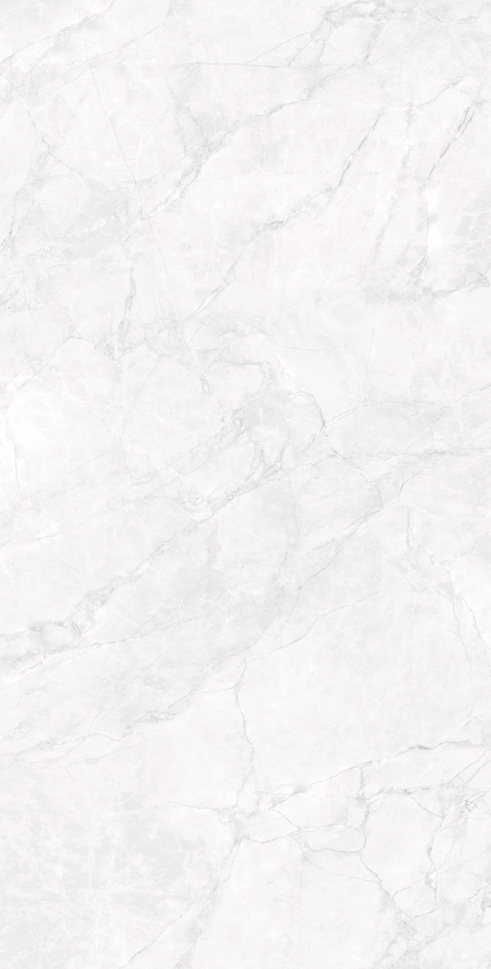 CR4007-A Arctic White Carving 60x120 Arcadia Ceramica