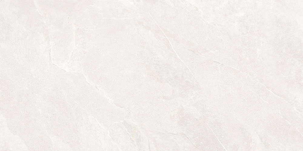 ArdeStone Белый Матовый R10A Ректификат 9мм 60х120 Vitra