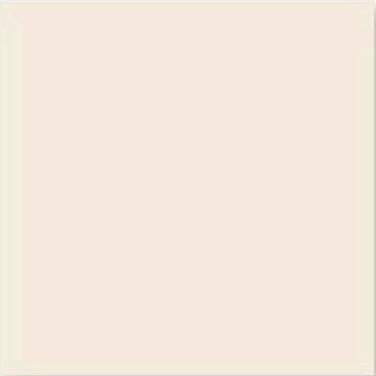 Nacar g.127 20x20 VIVES