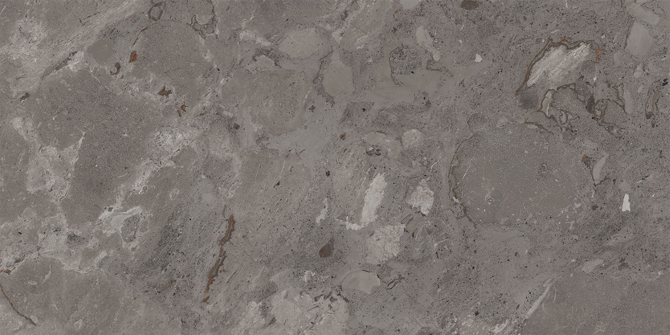 93448 Karnis Charcoal Matt 60x120 Cerdomus