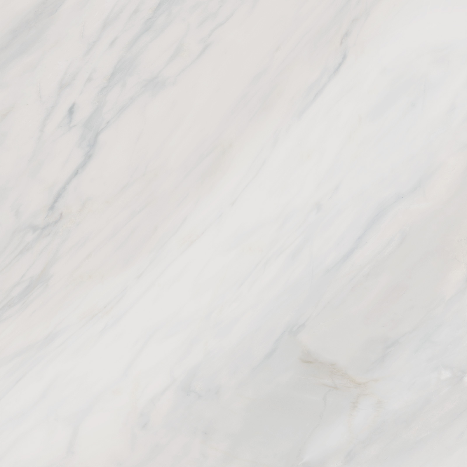6060CAA03 Carolina Pearl Sugar 600x600x9.5 Delacora