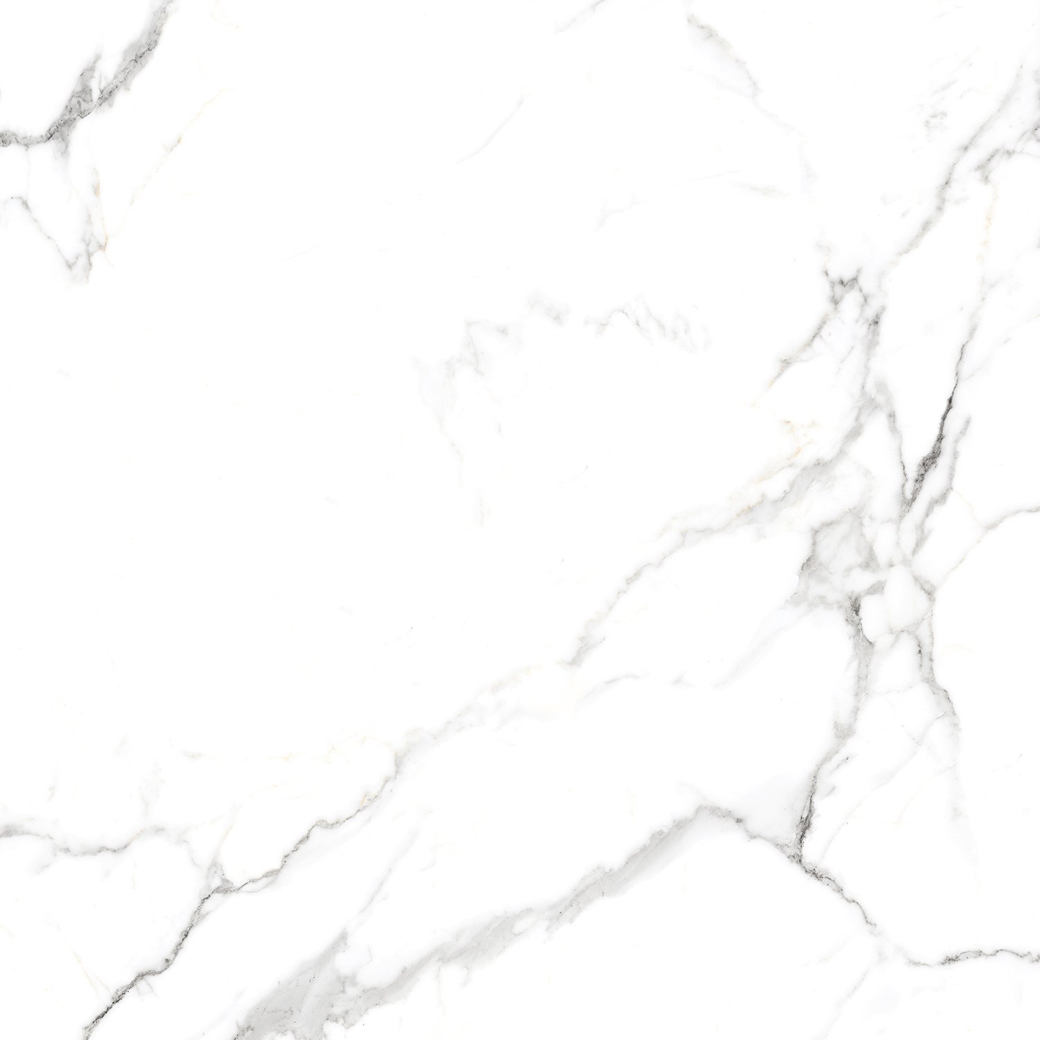 Сlassic Statuario PGVT 60x60 Casati Ceramica
