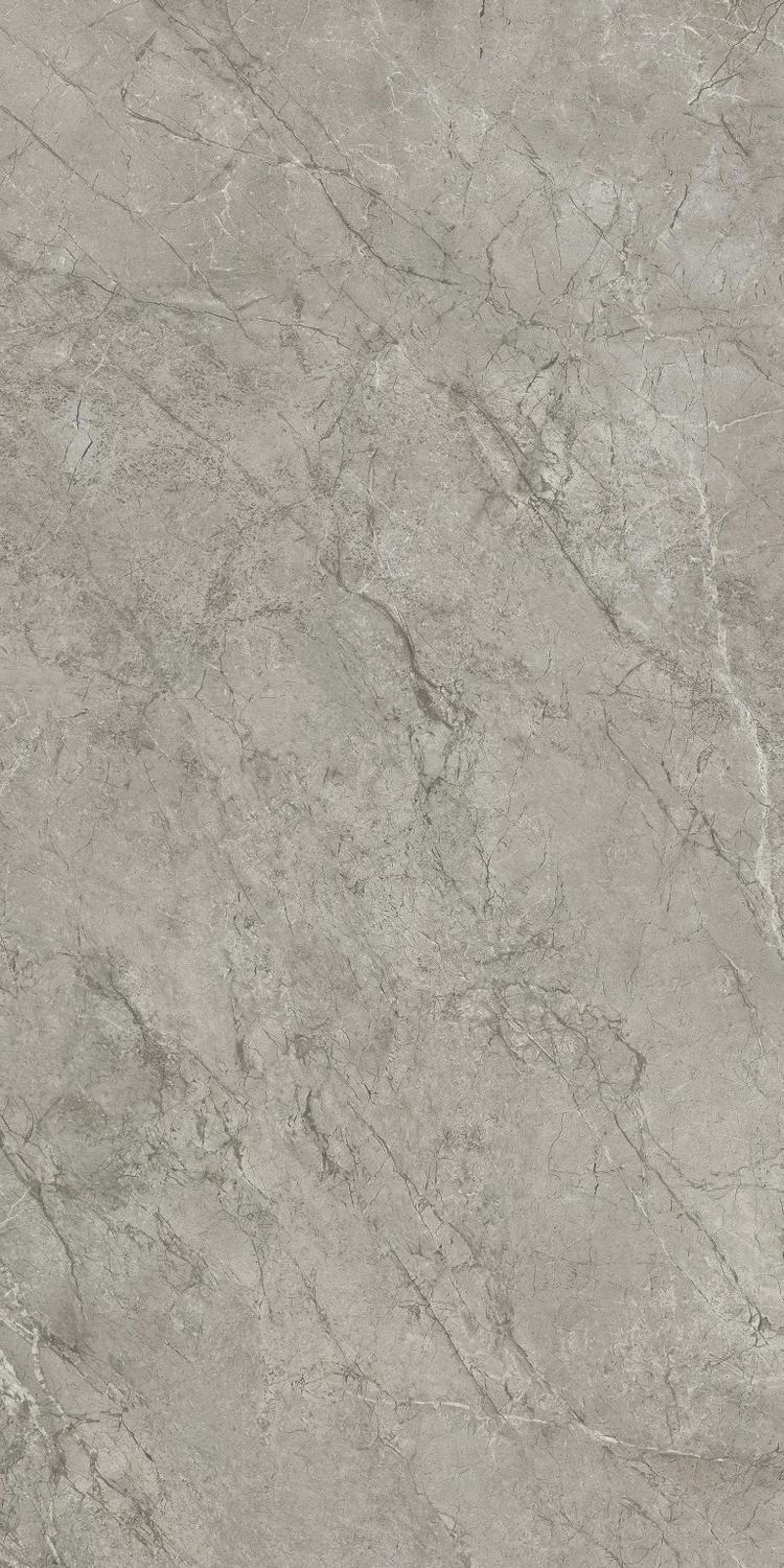 AJIT Marvel Meraviglia Silver Majestic Matt 60x120 Atlas Concorde