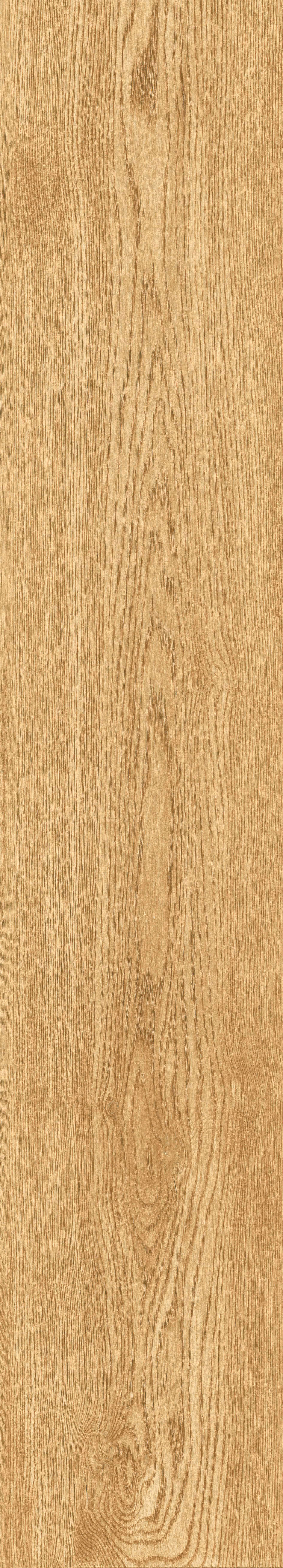 1064 Parma Honey Mate 120x20 Artcer
