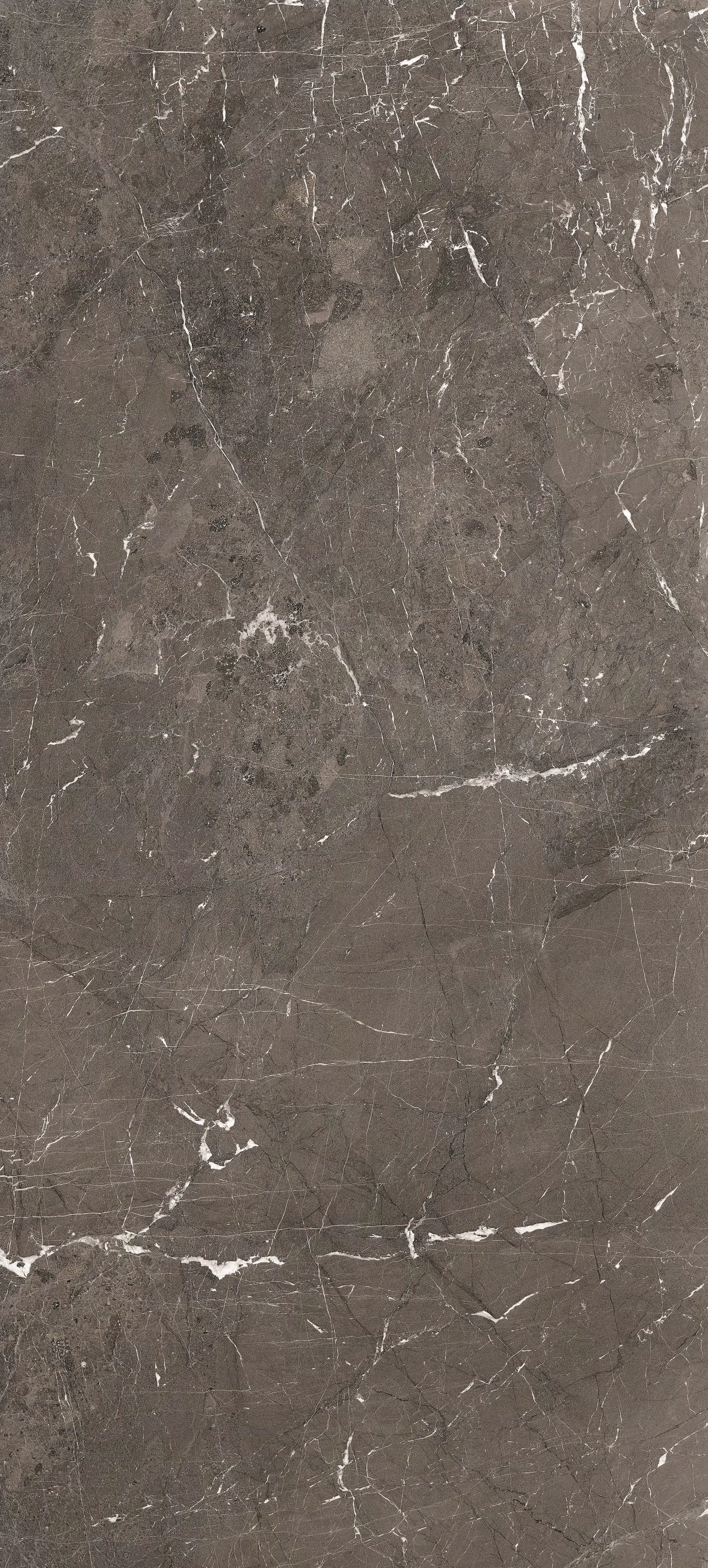 Heritage Luxe Brown Glossy 6mm 120x280 Rex Ceramiche фото 2