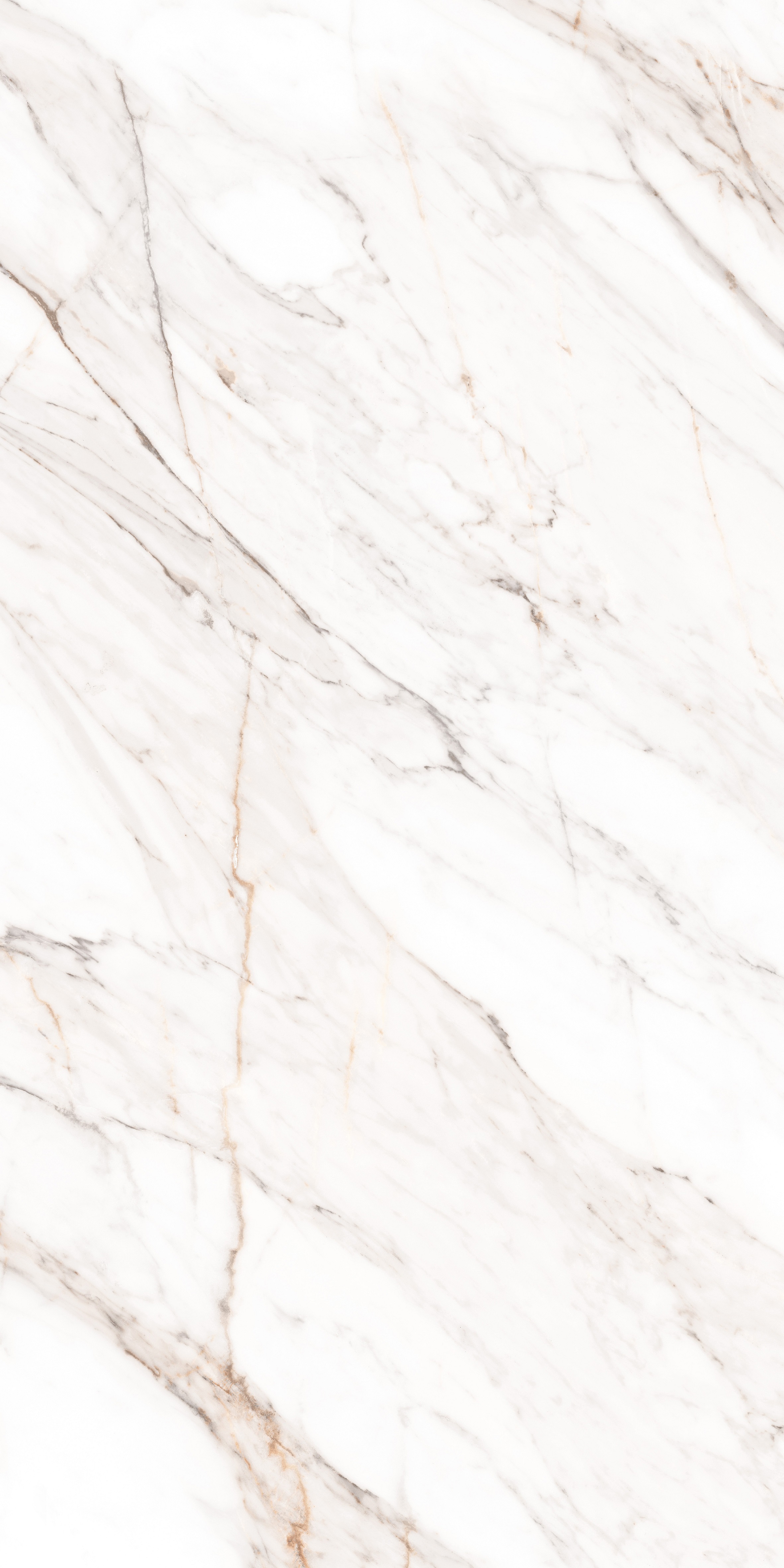 MPL-058640 Calacatta Gold Polished 80x160 Creto