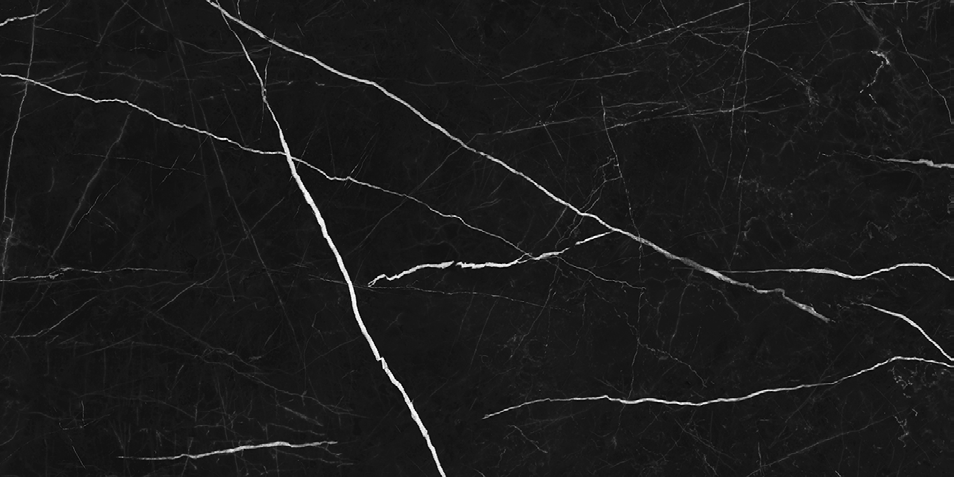 NR209 Ross Black 60x120 PrimaVera