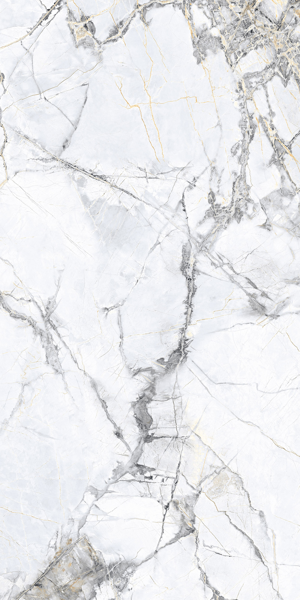 CL4008-A Malta Bianco Carving Lappato 60x120 Arcadia Ceramica