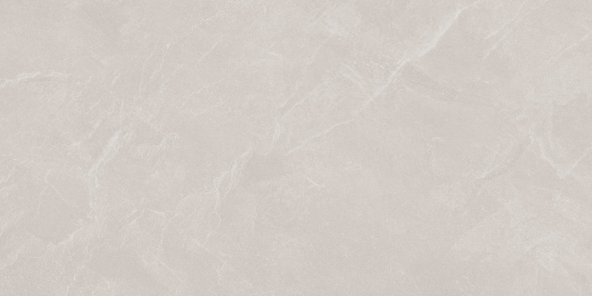 Archie Bianco Pro светло-серый матовый R10GR STR 60х120 Laparet
