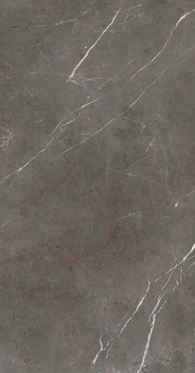 PF60006313 Stone Grey Lux R 60x120 ABK фото 4