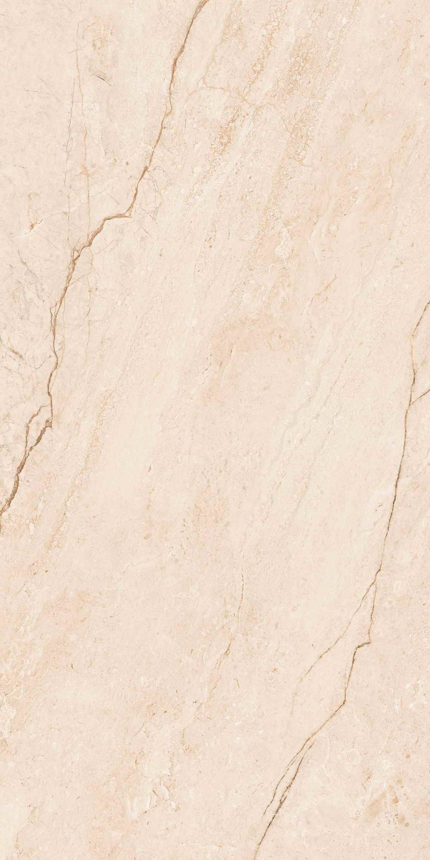 Clevado Beige Deck 60x120 BELLEZA фото 3