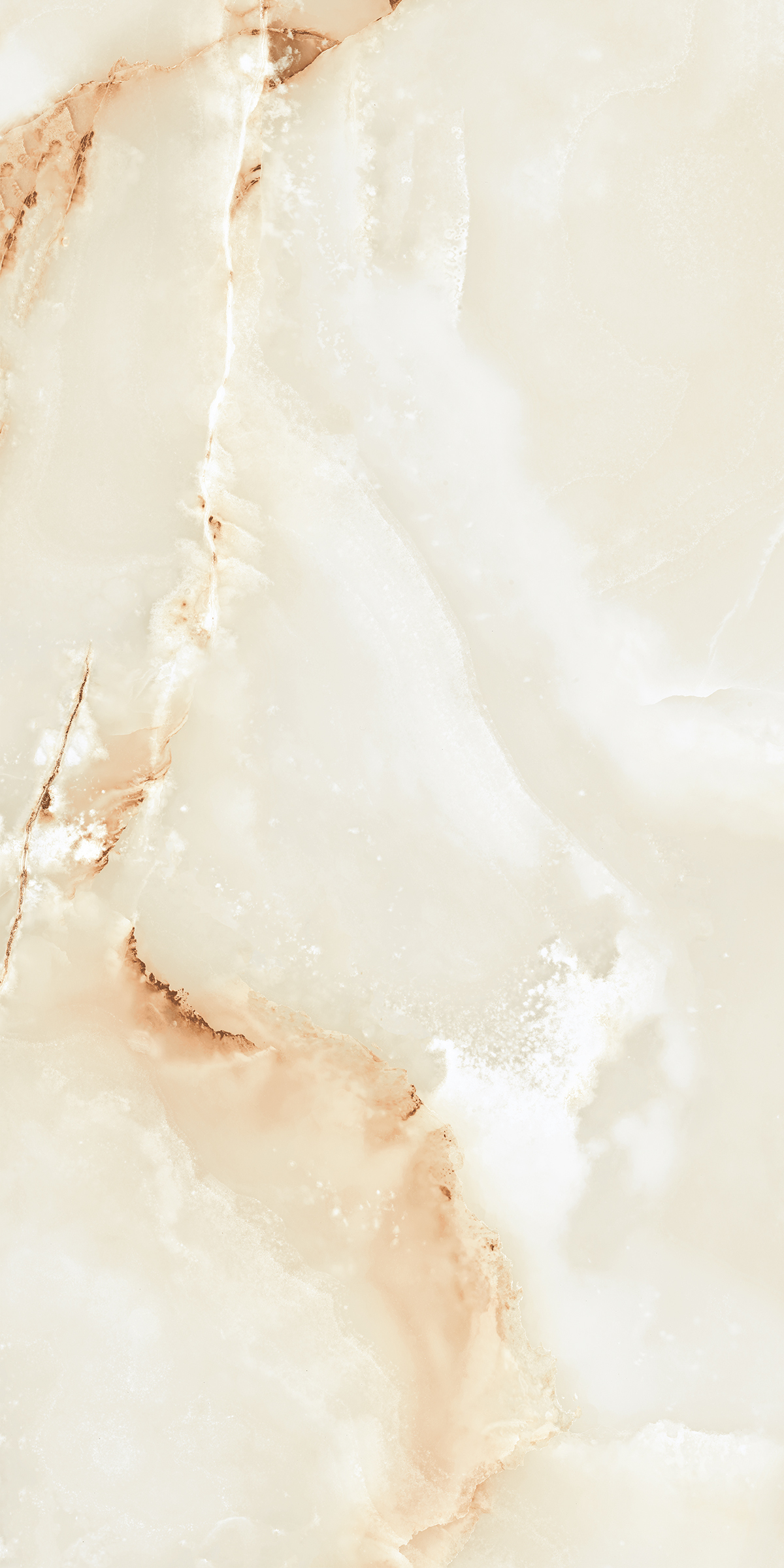 904 Persian Beige 120x60 Artcer