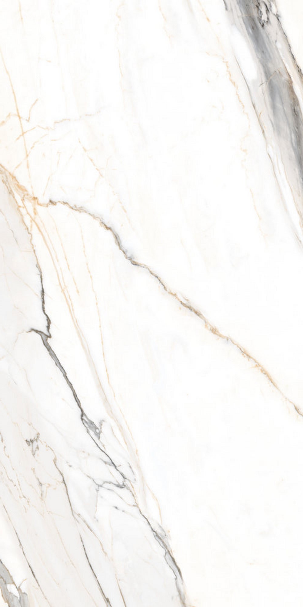 GT120604103MGR Statuario Elite Белый граниль 60x120 Global Tile