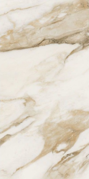 67582 Calac Br Luxr 60x120 Versace (Gardenia Orchidea)
