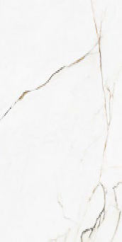 00-00000245 Calcatta Montreal Polish 60х120 BELLEZA