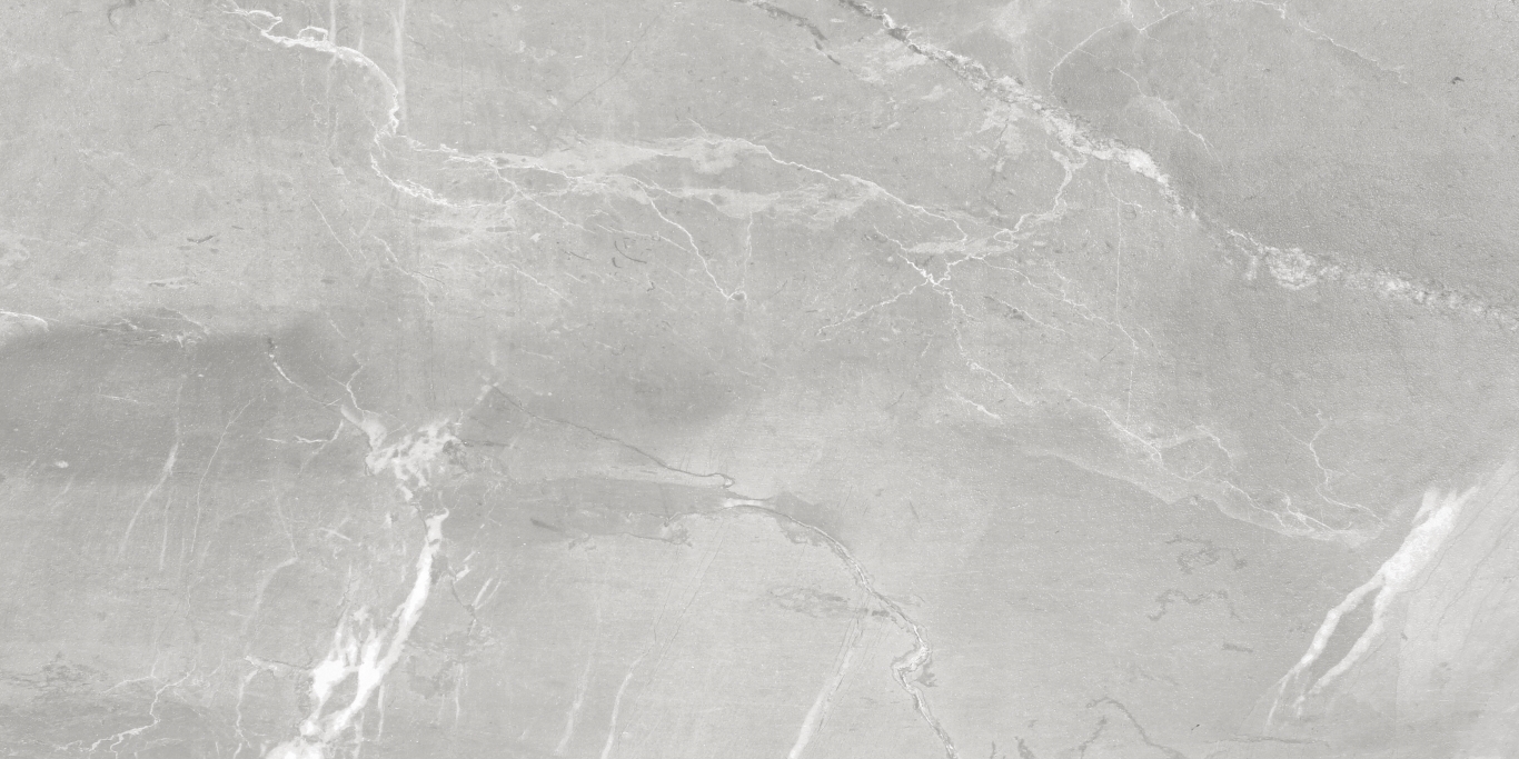 NS612NTT9026L Slate Grey 60x120 NT Ceramic