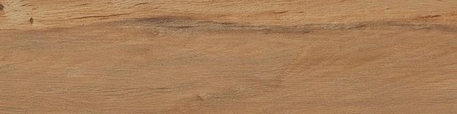 Leccio Oliato 10x40 Serenissima Cir
