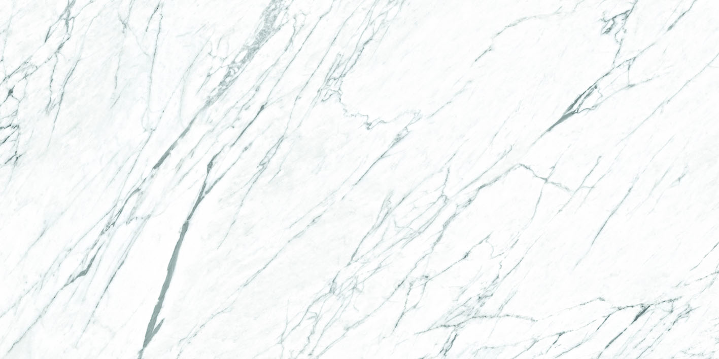FPK01MQ011 LM STATUARIO ST 100X200 Roca Ceramica