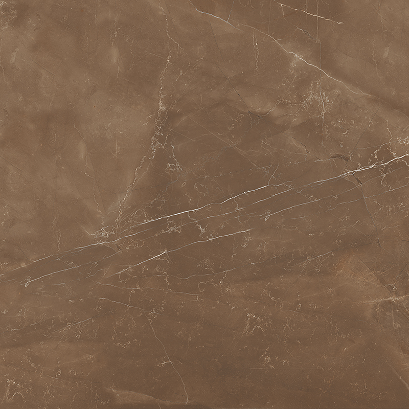 Armani Brown Satin 60x60 Colortile