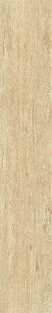 ZC 1223096 rect. 20x120 Bonaparte