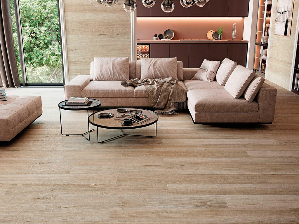 6611 Porcelanite Dos