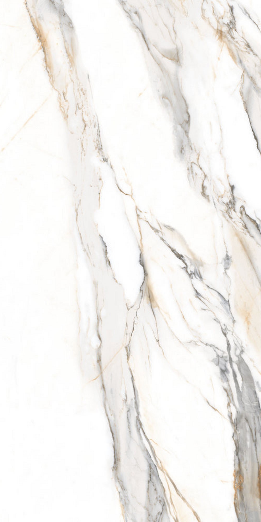 GT120604103MGR Statuario Elite Белый граниль 60x120 Global Tile