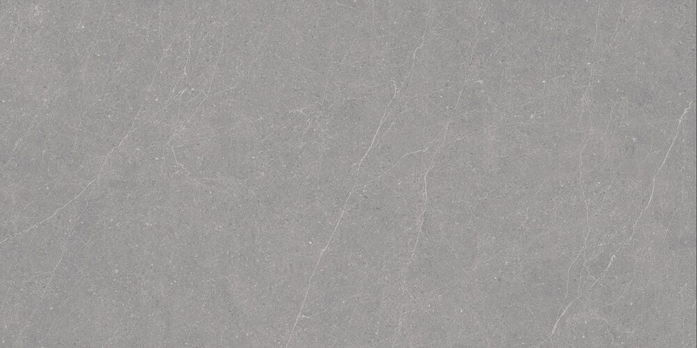 Elenta Grey Carving 60x120 Duna