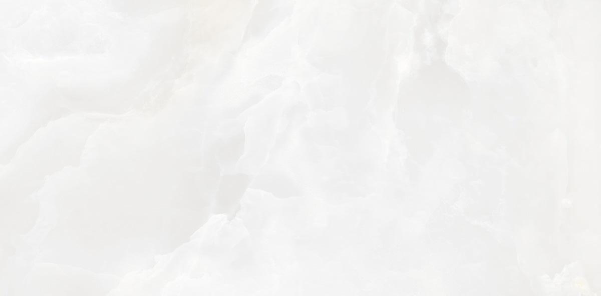 N130006 Invictus White Polished 60x120 Neodom фото 3