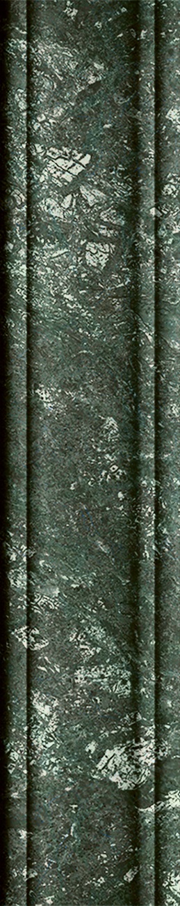 4101213 Dandy MRS Green 5x25 41ZERO42