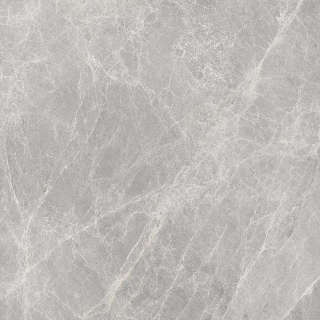 Worner GREY 60x60 Bluezone
