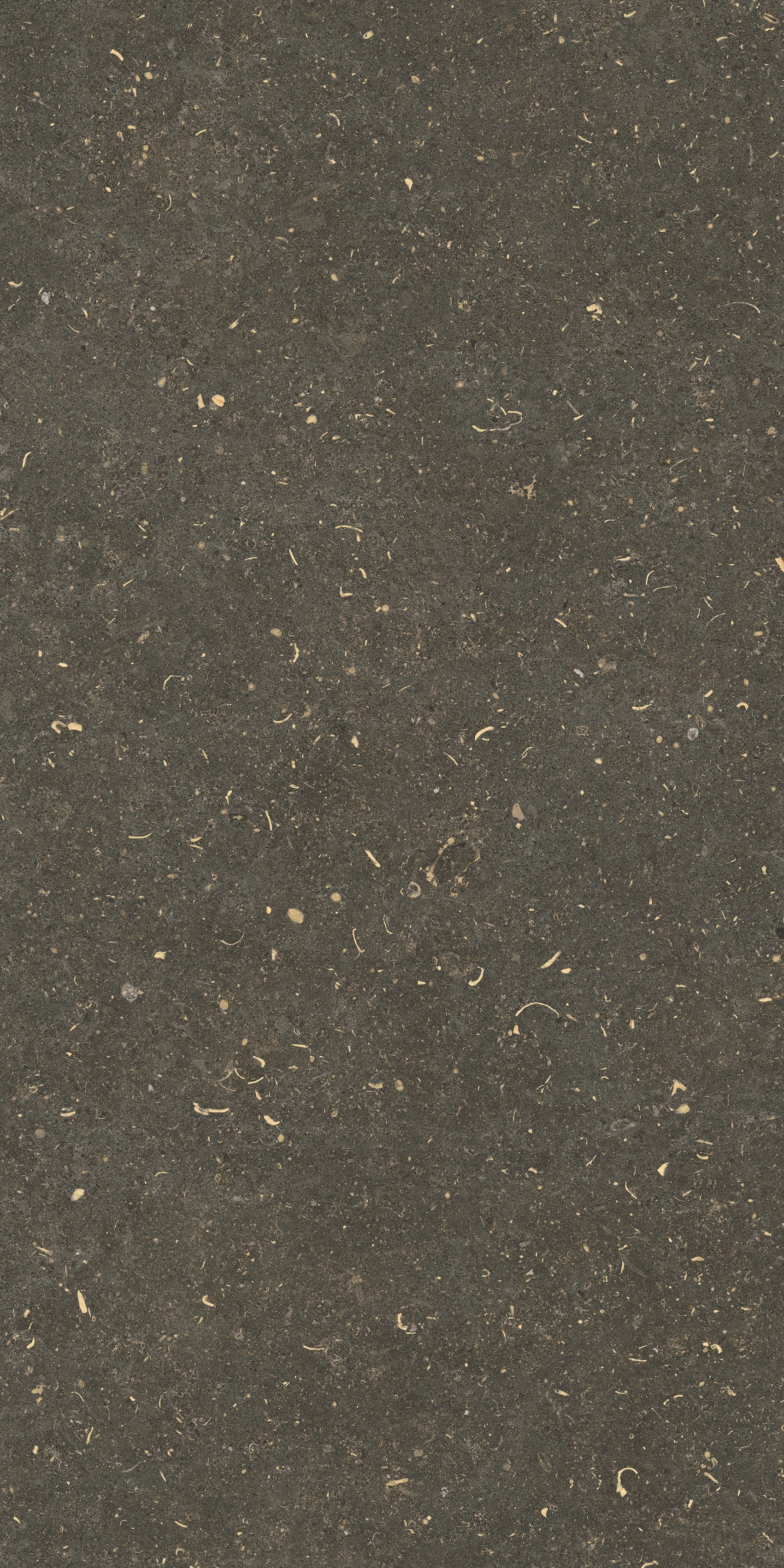 785483 Rinascenza Arena Platino Matte 60x120 Casa Dolce Casa фото 8