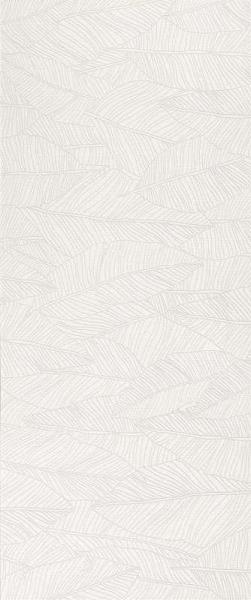 A6FC White Leaf 50x120 Atlas Concorde