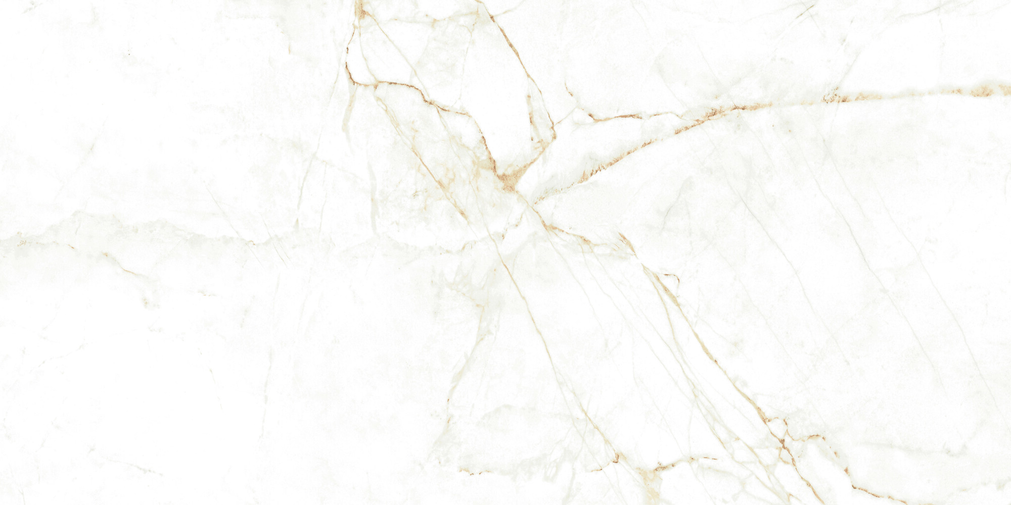 38712 Dual White NT/60X120X0,9/C/R 60x120 Peronda фото 4