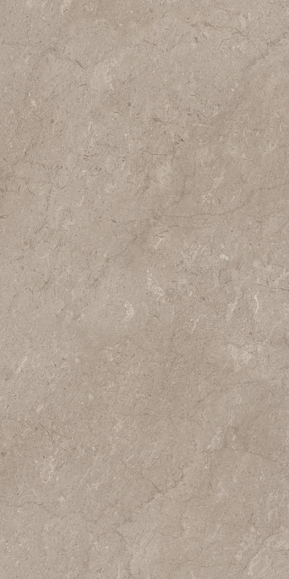 AEM02 Элемента Серый Неполированный Рект 60x120x9 Ametis by Estima фото 9