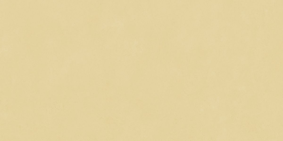 N12037 Blossom Sun Matt 60x120 Neodom