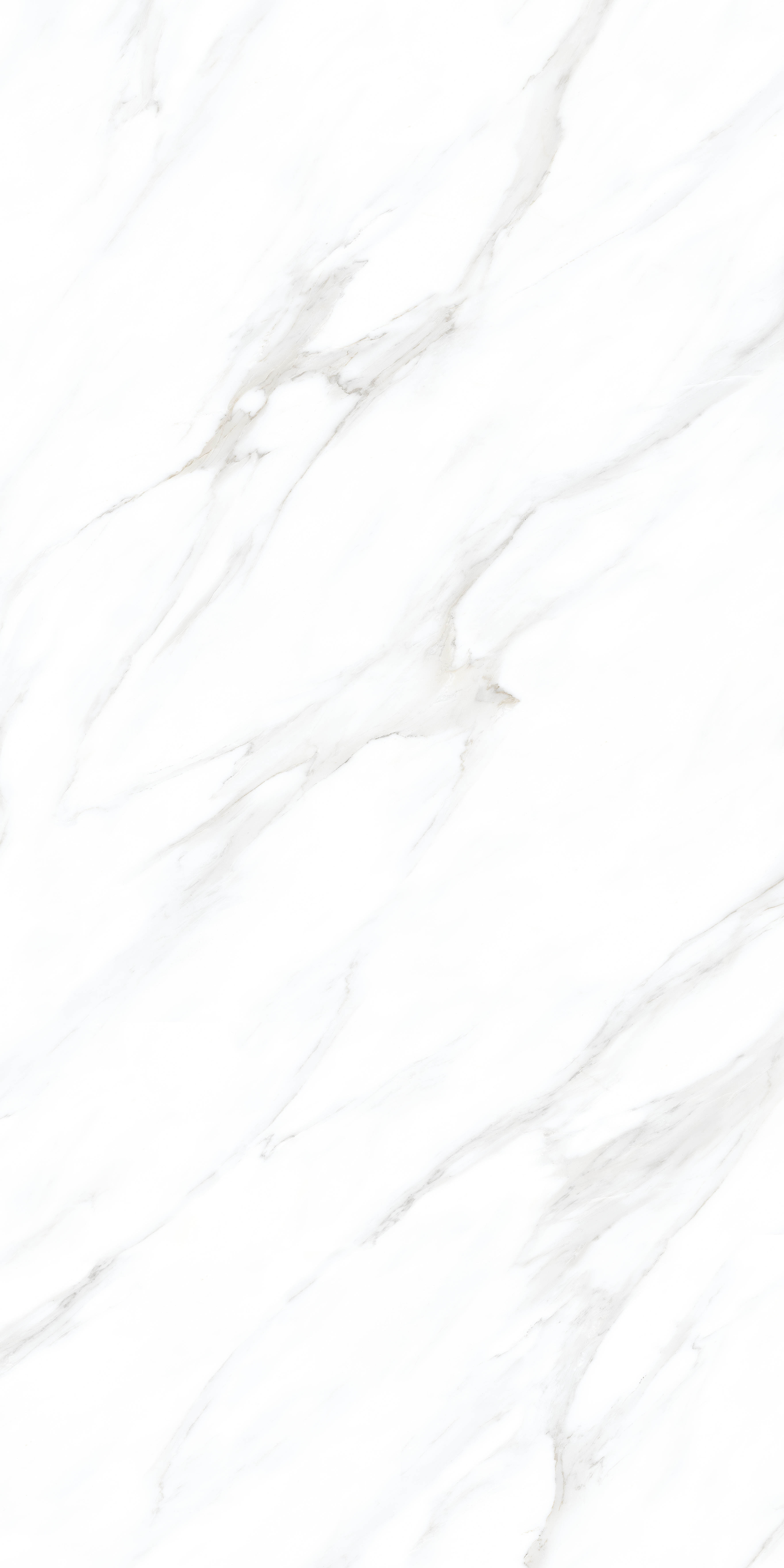 Antic White carving 60x120 Realistik