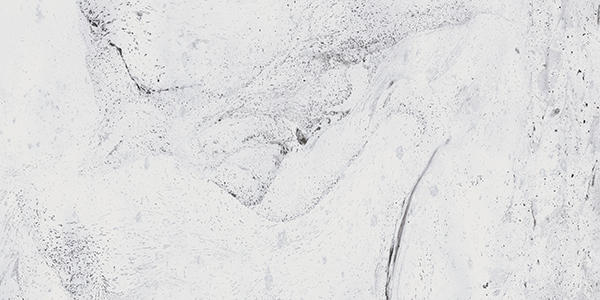 Inverno white 01 30х60 Gracia Ceramica
