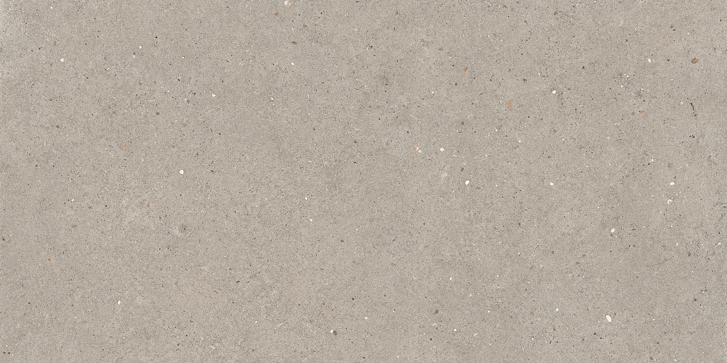 ARGENT6 12 60x120 La Faenza