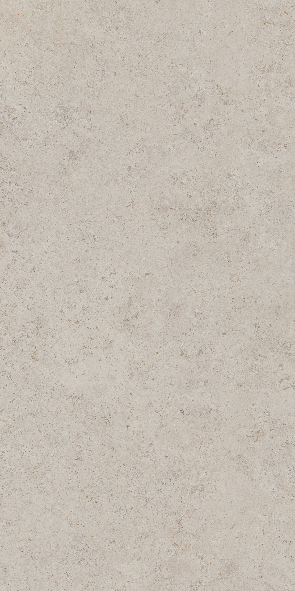 DD590400R Про Лаймстоун АТ бежевый натуральный обрезной R10 119,5х238,5 Kerama Marazzi