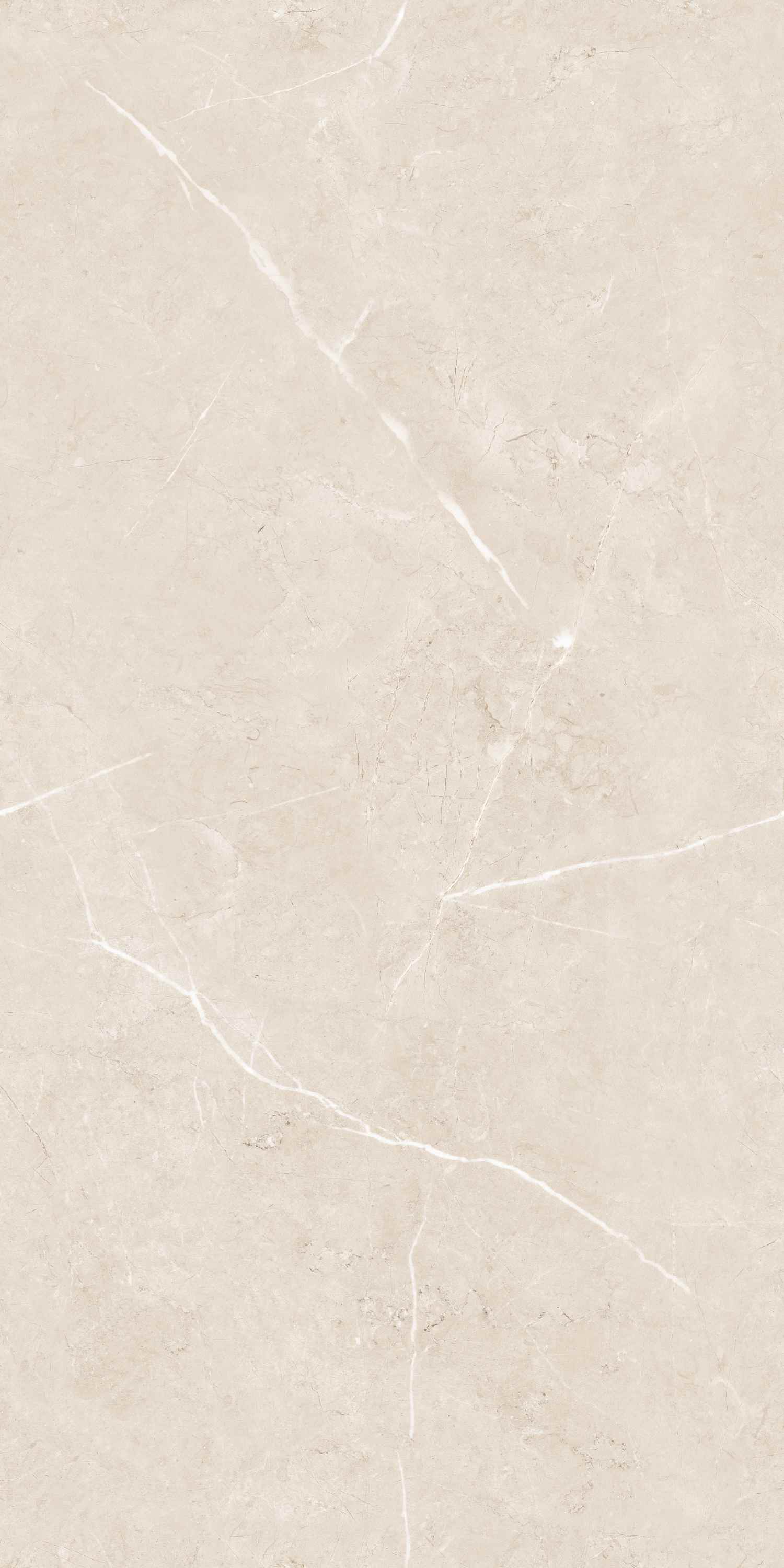 Caspio Ivory Velvet 60x120 BELLEZA фото 2