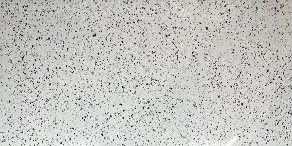 Terazzo Poiish Silver 60x120 Armano